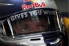 Bild zum Inhalt: Vettel: "Kein Schaulaufen in Abu Dhabi"