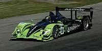 David Brabham, Scott Sharp