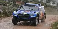 Carlos Sainz