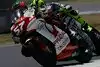 Bild zum Inhalt: Warum Biaggi so populär ist