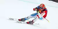 Bild zum Inhalt: Ecclestone und Co. beim Hahnenkammrennen