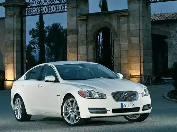 jaguar Titel-Bild zur News: jaguar