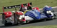 Bild zum Inhalt: Volles Starterfeld in der LMS 2010