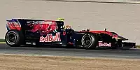 Jaime Alguersuari