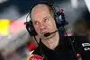 Bild zum Inhalt: Newey kritisiert Mercedes: Motoren waren "eingefroren"