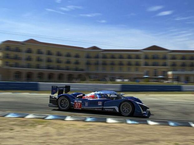 Alexander Wurz, Anthony Davidson, Marc Gené Alexander Wurz, Anthony Davidson, Marc Gené