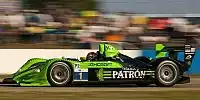Simon Pagenaud, David Brabham