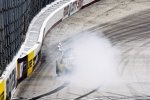 Jimmie Johnson (Hendrick) feiert