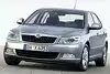 Bild zum Inhalt: Skoda erzielte 2009 einen Verkaufsrekord