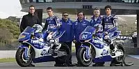 Pons Kalex