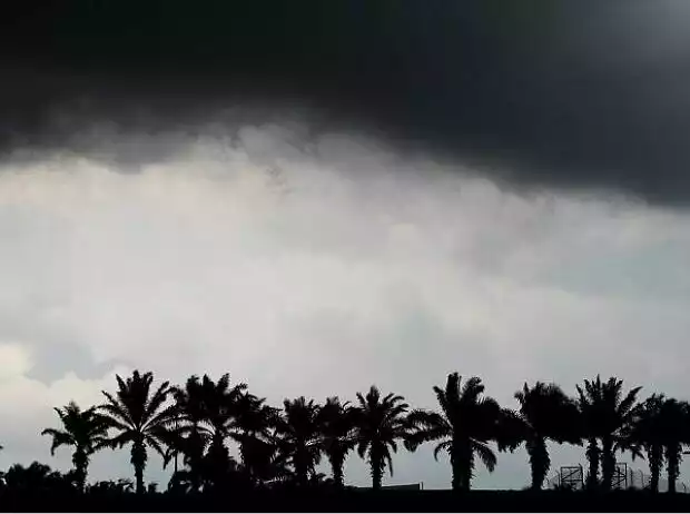Regenwetter in Sepang Titel-Bild zur News: Regenwetter in Sepang