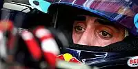Bild zum Inhalt: "Taube" Toro-Rosso-Piloten mit unglücklichem Händchen
