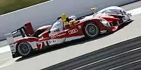 Allan McNish, Rinaldo Capello