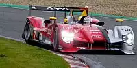 Allan McNish, Rinaldo Capello, Tom Kristensen