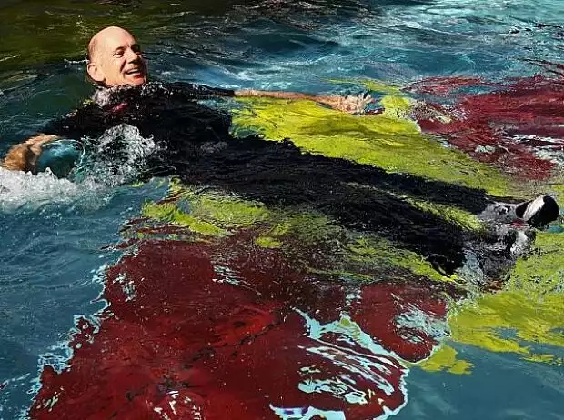 Adrian Newey (Technischer Direktor) Titel-Bild zur News: Adrian Newey (Technischer Direktor)