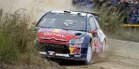 Bild zum Inhalt: SS8/SS9: Loeb startet Aufholjagd