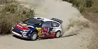 Bild zum Inhalt: SS16/SS17: Ogier steht vor erstem Sieg