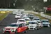 Bild zum Inhalt: Surfers Paradise: Die V8-Serie lockt die WTCC-Asse