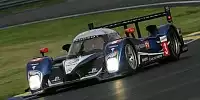 Pedro Lamy, Simon Pagenaud, Sébastien Bourdais