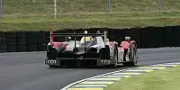 Tom Kristensen
