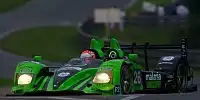 Marino Franchitti, David Brabham, Marco Werner