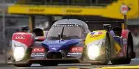 Loic Duval, Olivier Panis
