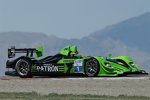  Simon Pagenaud und David Brabham (Highcroft-Acura)