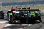  Simon Pagenaud und David Brabham (Highcroft-Acura)