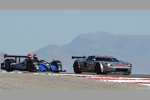  David Robertson, Andrea Robertson und David Murry (Doran Ford GT)