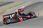  Clint Field und Jon Field (Intersport-Lola)