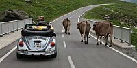Bild zum Inhalt: Silvretta Classic: Luftgekühlte VW-Oldies erobern die Alpen