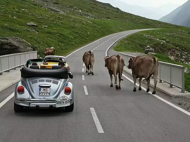 Silvretta Classic Titel-Bild zur News: Silvretta Classic