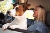 Bild zum Inhalt: A.T.U: Hunde im Auto mit Schutzgitter transportieren