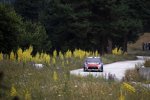 Sébastien Loeb (Citroen) 