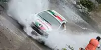 Bild zum Inhalt: Erste "Colin McRae"-Trophäe geht an Magalhães