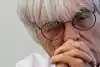 Bild zum Inhalt: Ecclestone: "Es ist doch ein Teamsport"