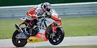Leon Camier
