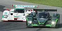 Bild zum Inhalt: Mid-Ohio: Leichtes Spiel für Drayson