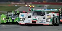 Bild zum Inhalt: Dyson gewinnt die Mid-Ohio-Schlacht