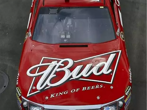 Budweiser Titel-Bild zur News: Budweiser