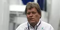 Bild zum Inhalt: Haug schließt Motorenlieferung an Red Bull aus