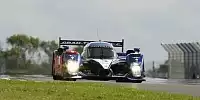 Bild zum Inhalt: Peugeot feiert Doppelsieg in Silverstone