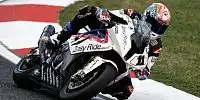 Troy Corser