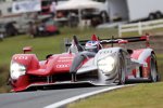 Marcel Fässler, Benoit Treluyer und André Lotterer