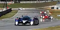Davidson/Gené/Wurz