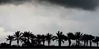 Regenwetter in Sepang