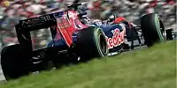 Bild zum Inhalt: Toro Rosso: Einer drin, einer knapp draußen