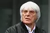 Bild zum Inhalt: Ecclestone: Hill ist der Erlöser von Silverstone