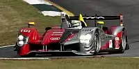 Allan McNish