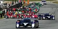 Bild zum Inhalt: Das letzte Gigantenduell: Peugeot 908 vs. Audi R15